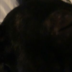 Meet your Posher, Jesse